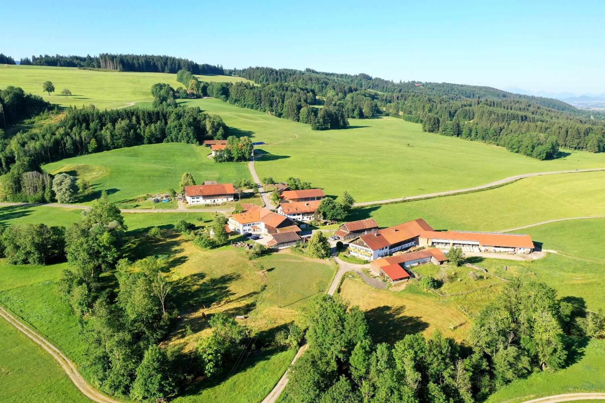 Appartement Xaver *